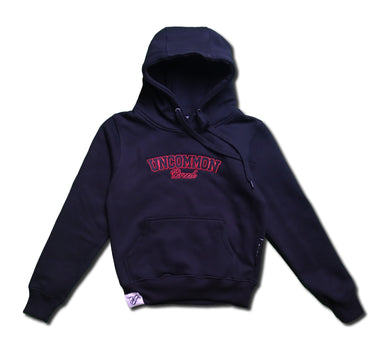 Kids Chicago Statement Hoodie