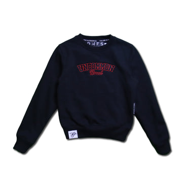 Kids Chicago Statement Crewneck